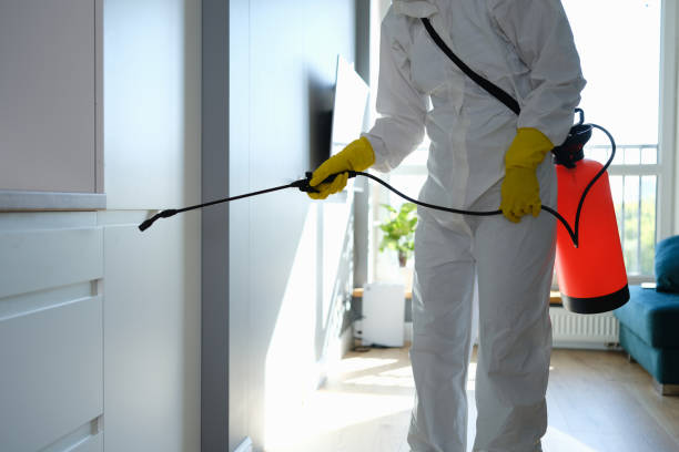 Mold Remediation for Vacation Homes